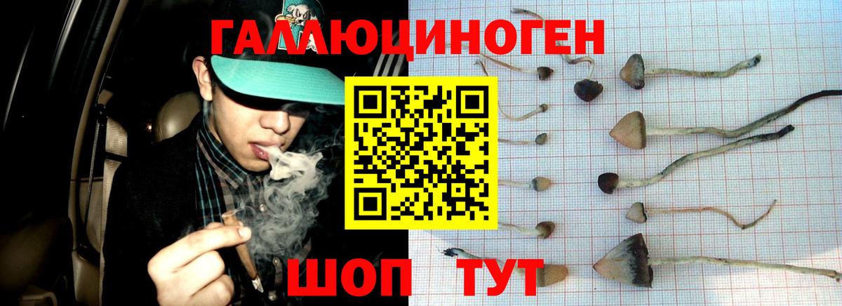 Галлюциногенные грибы прущие грибы Анапа