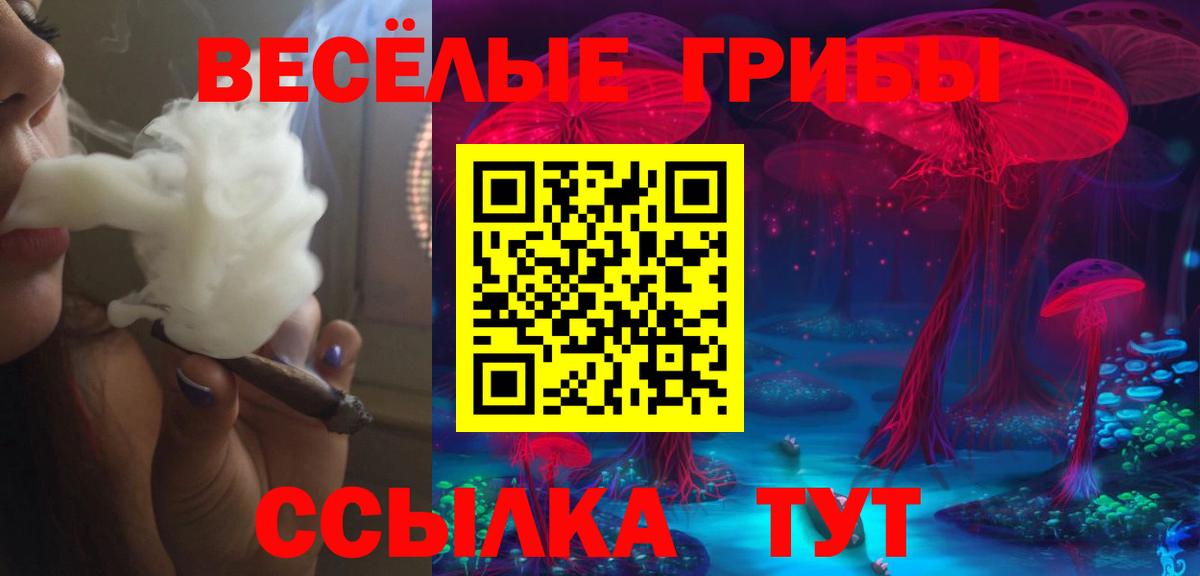 Анапа  Псилоцибиновые грибы прущие грибы  Вход с VPN  Галлюциногенные грибы прущие грибы 